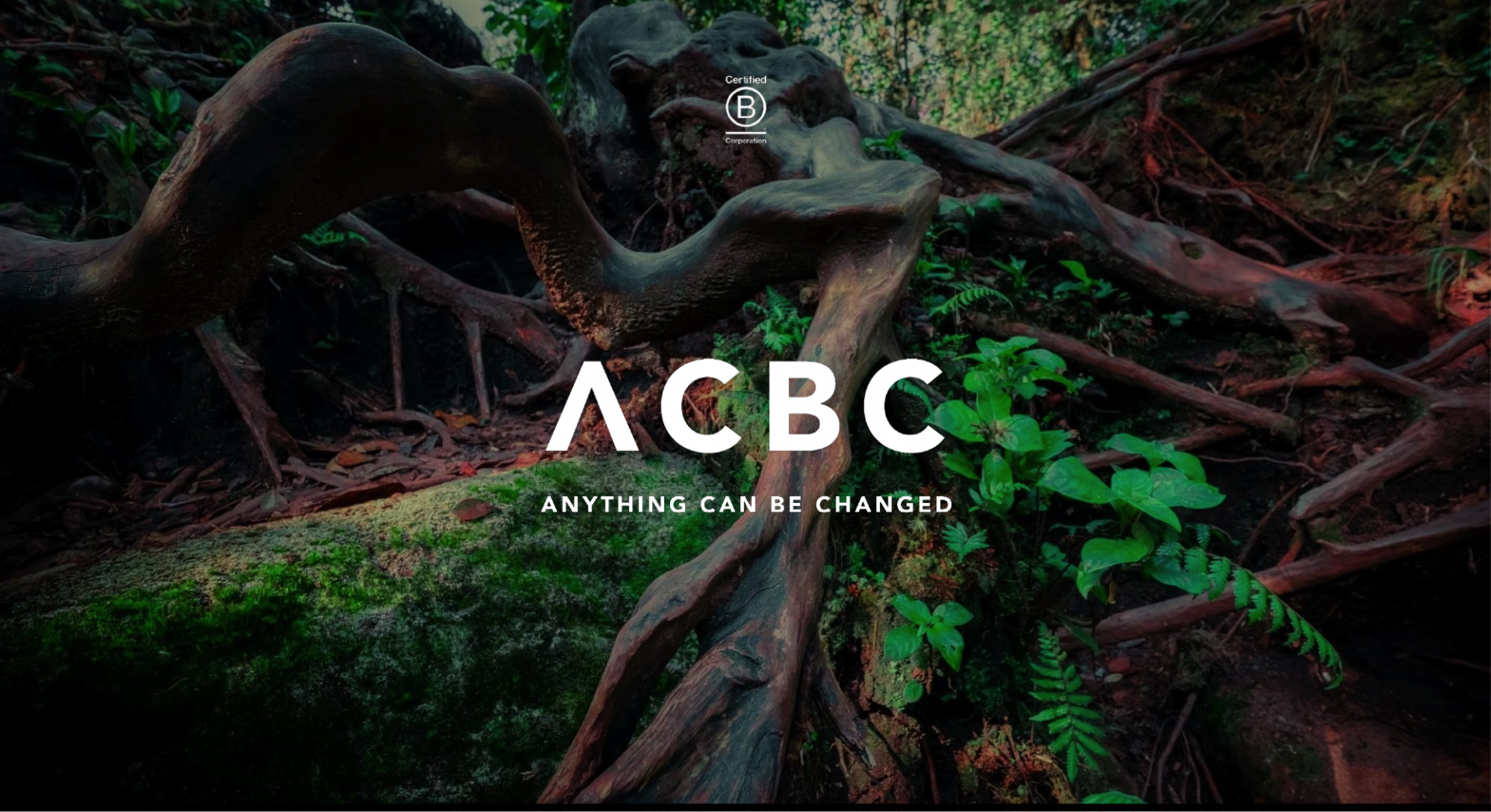ACBC FOREST
